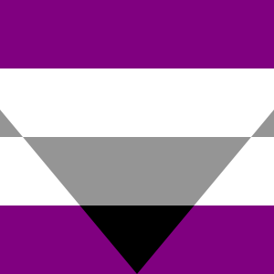 3x5 ft (90x150 cm) / Purple Official PAN FLAG Merch