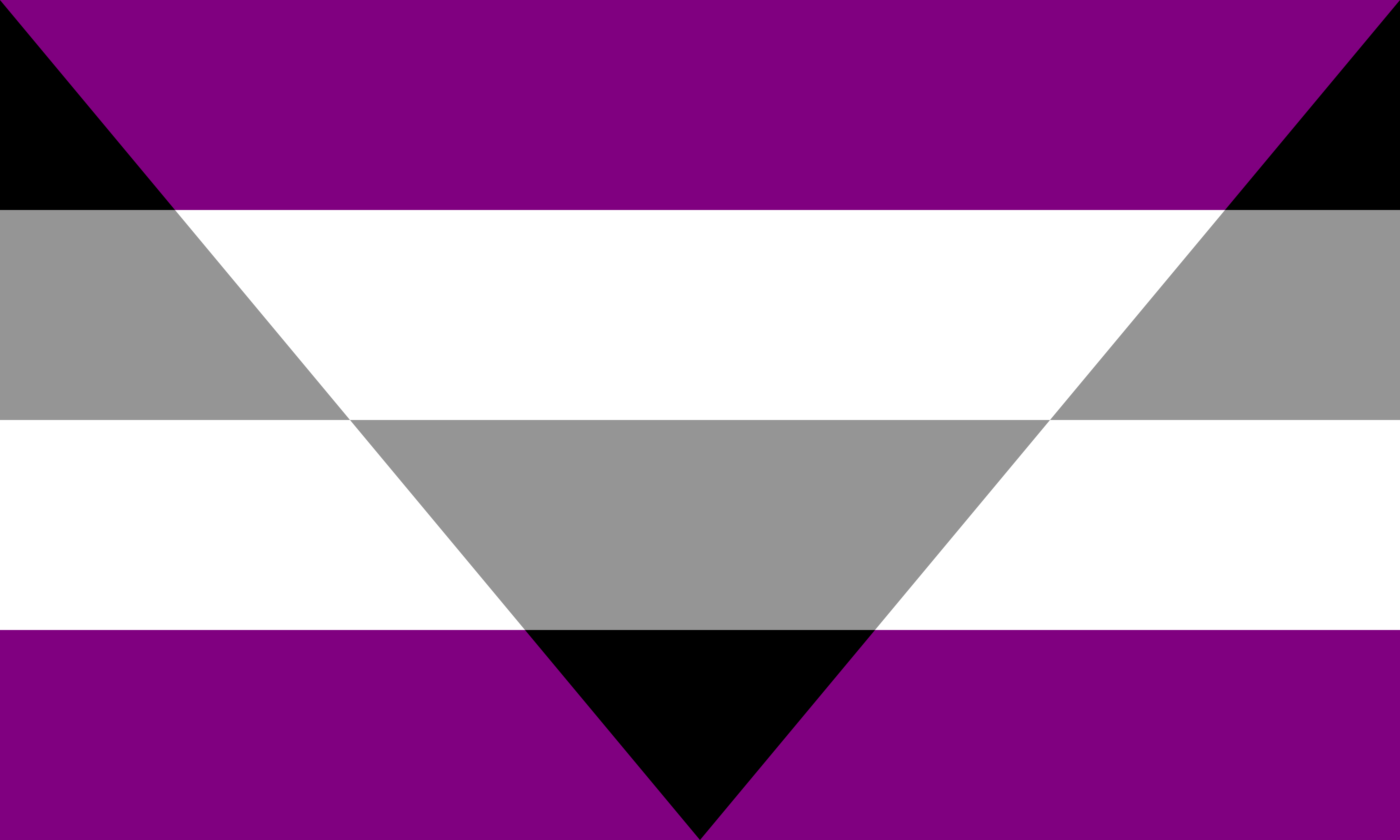 3x5 ft (90x150 cm) / Purple Official PAN FLAG Merch. aegosexual autochoriss...