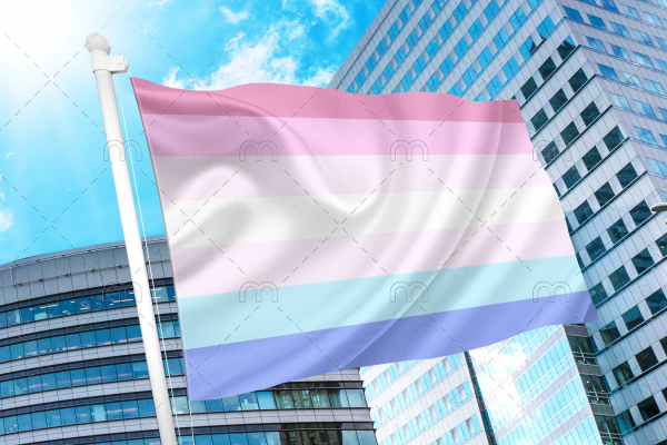 Bigender Pride Flag PN0112 2x3ft (60x90 cm) / Bigender / 2 Grommets left Official PAN FLAG Merch