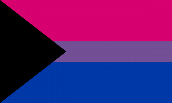 2x3 ft(60x90 cm) / Demibisexual / 4 Grommets Official PAN FLAG Merch