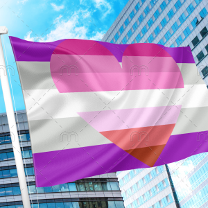 Gray Asexual Lesbian Combo Pride Flag PN0112 2x3 ft (60x90 cm) Official PAN FLAG Merch