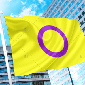 Intersex Pride Flag by Organization Intersex International Australia PN0112 3x5 ft (90x150cm) / 2 Grommets Official PAN FLAG Merch